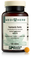 Load image into Gallery viewer, Turmeric Forte 180T Bottle Image
